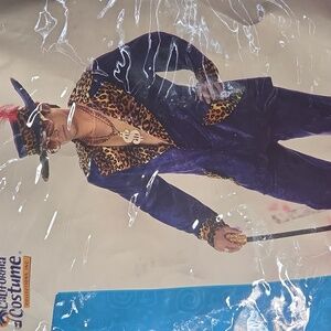 California Costumes Purple Outfit with Leopard Accents & Hat